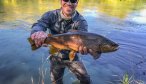 large brown trout