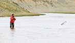 Montana Angler Fly Fishing Destinations