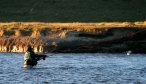 Montana Angler Fishing Trips