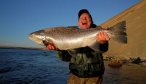 Rio Grande Brown Trout Fishing