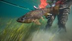 Chile Fly Fishing Trips