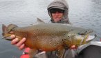 Trout Fishing in Patagonia Montana Angler