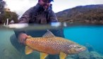 Montana Angler International Fly Fishing