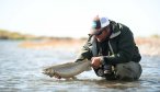 guided trout fishing