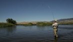 madison river fishing 