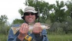 bighorn river