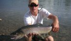 fly fishing for trout