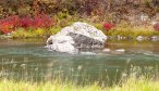 fall fishing smith river