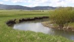 guided small stream fishing montana