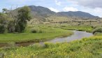 fly fishing montana