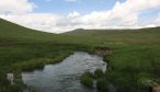 view of small streams