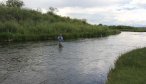 wade fishing beaverhead river