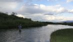 fly fishing beaverhead river