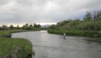 beaverhead river wade fishing