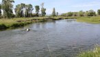 montana trout fishing