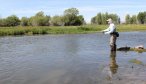 guided trout fishing montana
