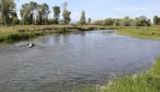 beaverhead river fishing for trout