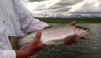 montana fly fishing