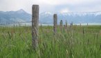 fence and mountain range