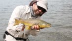 brown trout fishing