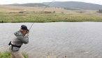 hanson lake trout