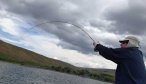 trout fishing in montana