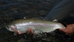 rainbow in water