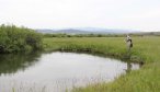 fishing off bank