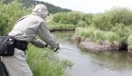 montana fishing