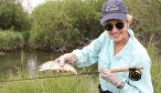 guided trout fishing