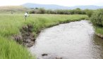 fishing off bank scenery 