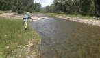 montana fly fishing