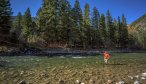 Montana Angler wade fishing trips