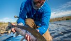 releasing a rainbow