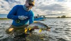 nice brown