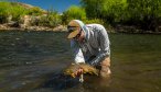 malleo river brown