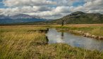 Fishing a spring creek