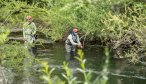 Wade fishing