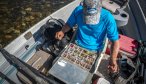 Argentina fishing guide