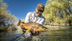 Argentina fly fishing brown trout