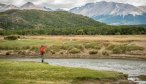Dry fly fishing in Argentina