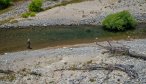 Fly Fishing in Argentina