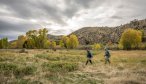 montana fly fishing streams