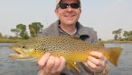 brown trout Jefferson River