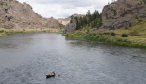 Fly Fishing the Missouri River