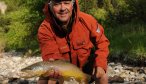 fly fishing for brown trout