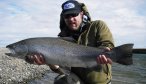 big brown trout Argentina