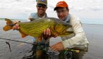 Golden Dorado Fly Fishing