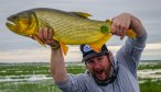 golden dorado argentina