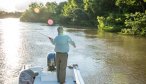 golden dorado fly fishing